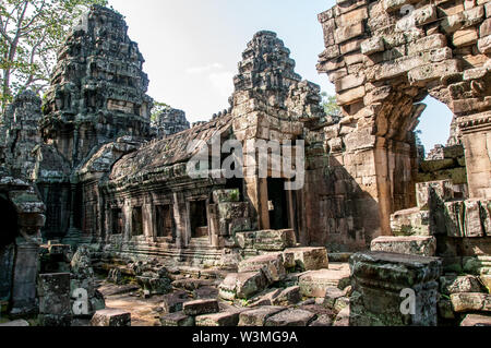 Spektakuläre Wurzeln wachsen zwischen den Steinen in der Ta Prohm Tempel in Angkor Wat Stockfoto
