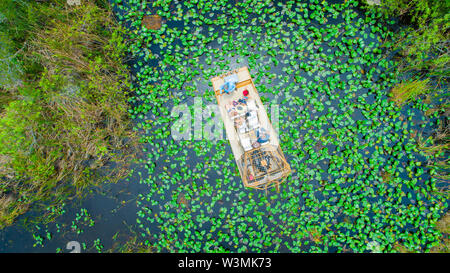 Airboat Tour in den Everglades National Park. Miami. Florida. USA. Stockfoto