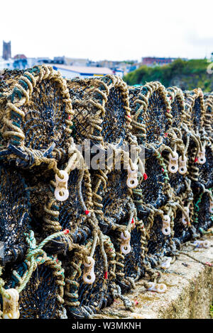 Krabben Fischen creel Körbe Käfigen in den Hafen von Newquay, Cornwall, Großbritannien Stockfoto