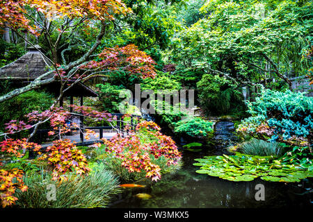 Der japanische Garten in St Mawgan, Cornwall, Großbritannien Stockfoto