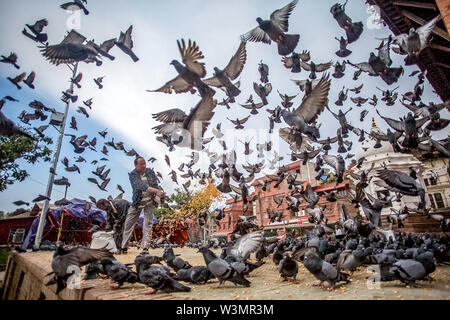 Leben nach dem Erdbeben. Ein Mann füttert Tauben in Panchadeval, Pashupatinath, Kathmandu. Ein Erdbeben der Stärke 7.8 struck Nepal bei 11:56 morgens, am 25. April 2015, töteten mindestens 7000 Menschen. Kathmandu, Nepal. Mai 2, 2015. Stockfoto