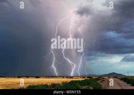 Dramatische Blitzschläge treffen in einem Gewitter mit dunklen Wolken und Regen in der Wüste von Arizona ein Stockfoto