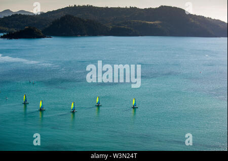 Segelboote/Motorboote mit bunten Segel auf dem Wasser vor Hamilton Island Resort, Queensland, Australien Stockfoto