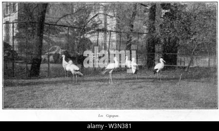 Clément Maurice Paris en plein air, BUC, 1897,141 Les Cigognes. Stockfoto