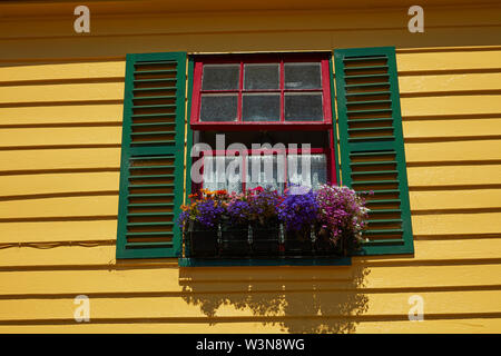 Blumen und Fenster, Feuer und Eis Shop, Akaroa Halbinsel, Banken, Canterbury, Südinsel, Neuseeland Stockfoto