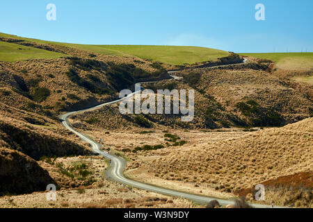 Straße durch Tussocks, in der Nähe der See Mahinerangi, Otago, Südinsel, Neuseeland Stockfoto