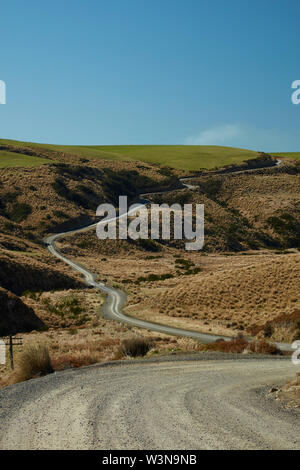 Straße durch Tussocks, in der Nähe der See Mahinerangi, Otago, Südinsel, Neuseeland Stockfoto