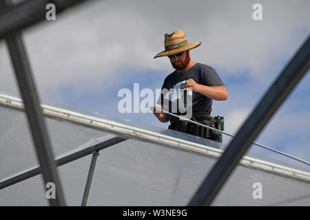 Greymouth, Neuseeland, 12. Dezember 2018: Handwerker sichern Sie den Kunststoff auf einen neuen Tunnel House. Stockfoto