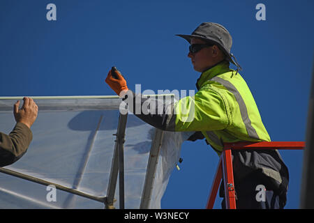 Greymouth, Neuseeland, 12. Dezember 2018: Handwerker sichern Sie den Kunststoff auf einen neuen Tunnel House. Stockfoto