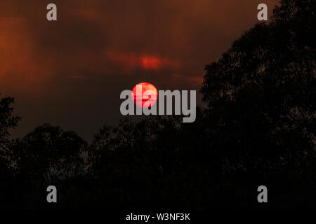 Die Sonne eingehüllt in den Rauch eines großen Buschfeuer in den Blue Mountains. Stockfoto