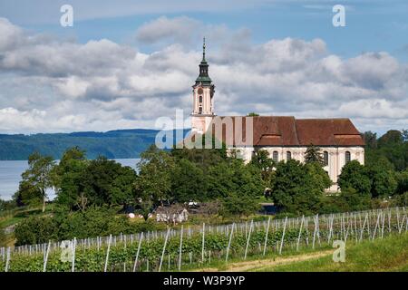 Blick auf den Bodensee mit Weinberg und Kloster Birnau, in der Nähe von Überlingen, Baden-Württemberg, Deutschland Stockfoto