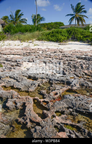 Nordamerika, Karibik, Kuba, Cayo Santa Maria, Iberostar Cayo Ensenachos Stockfoto