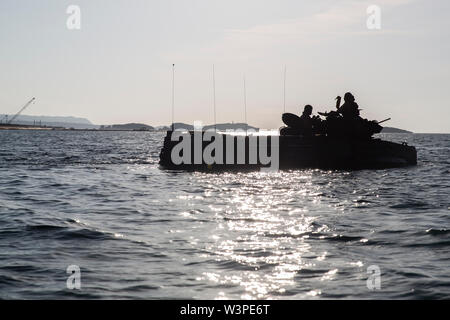 Us-Marines mit Assault Amphibious Vehicle Company, 4. Marine Regiment, 3rd Marine Division, betreiben eine AAV während einer Shore Schulungsveranstaltung im Camp Schwab, Okinawa, Japan, 16. Juli 2019 zu versenden. AAV Firma durchgeführt, um das Ereignis zu amphibische Kriegsführung der Marine Personal an Bord der USS Germantown (LSD 42) für die nächsten Übungen zu zertifizieren. (U.S. Marine Corps Foto von Lance Cpl. Hannah Hall) Stockfoto