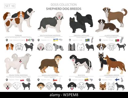 Hirten- und Hütehunde Sammlung auf Weiß isoliert. Flat Style. Andere Farbe und Herkunftsland. Vector Illustration Stock Vektor