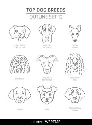 Top Hunderassen. Pet-outline Sammlung. Vector Illustration Stock Vektor