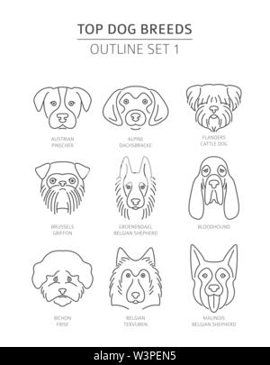 Top Hunderassen. Pet-outline Sammlung. Vector Illustration Stock Vektor