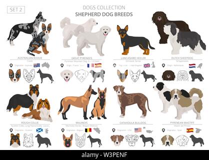 Hirten- und Hütehunde Sammlung auf Weiß isoliert. Flat Style. Andere Farbe und Herkunftsland. Vector Illustration Stock Vektor