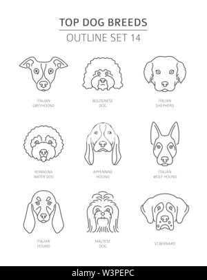 Top Hunderassen. Pet-outline Sammlung. Vector Illustration Stock Vektor