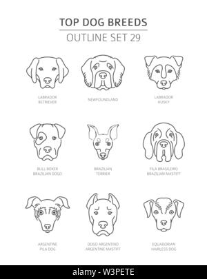 Top Hunderassen. Pet-outline Sammlung. Vector Illustration Stock Vektor