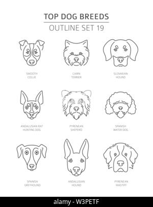 Top Hunderassen. Pet-outline Sammlung. Vector Illustration Stock Vektor