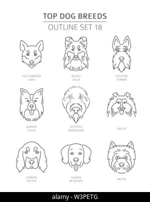 Top Hunderassen. Pet-outline Sammlung. Vector Illustration Stock Vektor