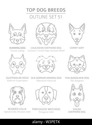 Top Hunderassen. Jagd, Hirte und Begleiter Hunde eingestellt. Pet-outline Sammlung. Vector Illustration Stock Vektor