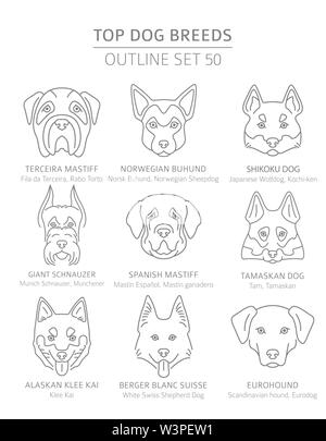 Top Hunderassen. Jagd, Hirte und Begleiter Hunde eingestellt. Pet-outline Sammlung. Vector Illustration Stock Vektor