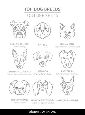 Top Hunderassen. Jagd, Hirte und Begleiter Hunde eingestellt. Pet-outline Sammlung. Vector Illustration Stock Vektor