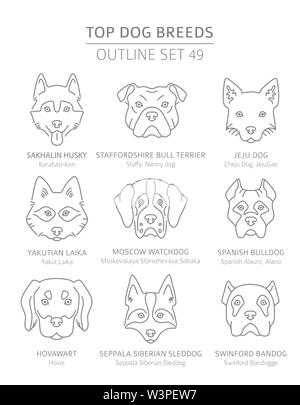 Top Hunderassen. Jagd, Hirte und Begleiter Hunde eingestellt. Pet-outline Sammlung. Vector Illustration Stock Vektor