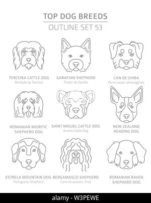 Top Hunderassen. Jagd, Hirte und Begleiter Hunde eingestellt. Pet-outline Sammlung. Vector Illustration Stock Vektor