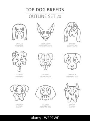 Top Hunderassen. Pet-outline Sammlung. Vector Illustration Stock Vektor