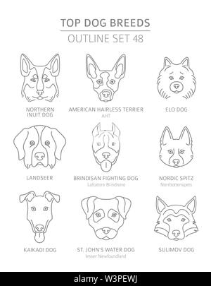 Top Hunderassen. Jagd, Hirte und Begleiter Hunde eingestellt. Pet-outline Sammlung. Vector Illustration Stock Vektor