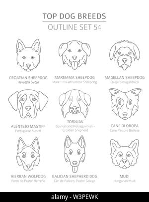 Top Hunderassen. Jagd, Hirte und Begleiter Hunde eingestellt. Pet-outline Sammlung. Vector Illustration Stock Vektor