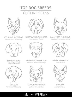 Top Hunderassen. Jagd, Hirte und Begleiter Hunde eingestellt. Pet-outline Sammlung. Vector Illustration Stock Vektor