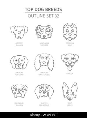 Top Hunderassen. Pet-outline Sammlung. Vector Illustration Stock Vektor