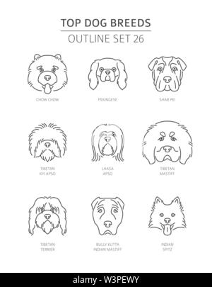 Top Hunderassen. Pet-outline Sammlung. Vector Illustration Stock Vektor