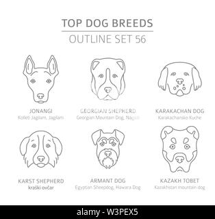 Top Hunderassen. Jagd, Hirte und Begleiter Hunde eingestellt. Pet-outline Sammlung. Vector Illustration Stock Vektor