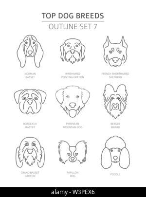 Top Hunderassen. Pet-outline Sammlung. Vector Illustration Stock Vektor