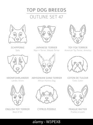 Top Hunderassen. Jagd, Hirte und Begleiter Hunde eingestellt. Pet-outline Sammlung. Vector Illustration Stock Vektor