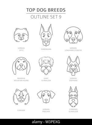 Top Hunderassen. Pet-outline Sammlung. Vector Illustration Stock Vektor