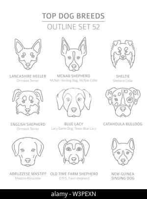 Top Hunderassen. Jagd, Hirte und Begleiter Hunde eingestellt. Pet-outline Sammlung. Vector Illustration Stock Vektor