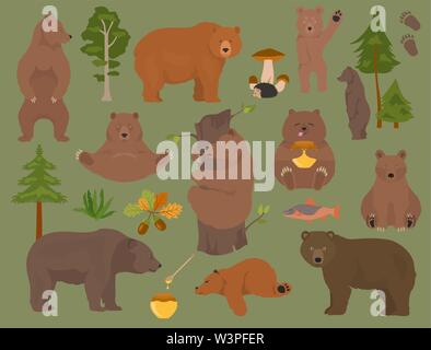 Alle tragen Arten in einem Set. Bären im Wald. Vector Illustration Stock Vektor