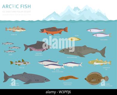 Eis und polaren Wüste biome. Terrestrischen Ökosystem Weltkarte. Arktische Tiere, Vögel, Fische und Pflanzen Infografik Design. Vector Illustration Stock Vektor