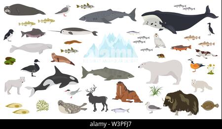 Eis und polaren Wüste biome. Terrestrischen Ökosystem Weltkarte. Arktische Tiere, Vögel, Fische und Pflanzen Infografik Design. Vector Illustration Stock Vektor