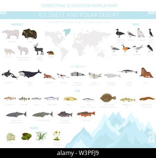 Eis und polaren Wüste biome. Terrestrischen Ökosystem Weltkarte. Arktische Tiere, Vögel, Fische und Pflanzen Infografik Design. Vector Illustration Stock Vektor