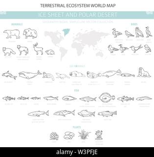 Eis und polaren Wüste biome. Einfache Linie Stil. Terrestrischen Ökosystem Weltkarte. Arktische Tiere, Vögel, Fische und Pflanzen Infografik Design. Vecto Stock Vektor