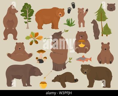 Alle tragen Arten in einem Set. Bären im Wald. Vector Illustration Stock Vektor