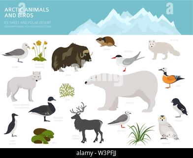 Eis und polaren Wüste biome. Terrestrischen Ökosystem Weltkarte. Arktische Tiere, Vögel, Fische und Pflanzen Infografik Design. Vector Illustration Stock Vektor