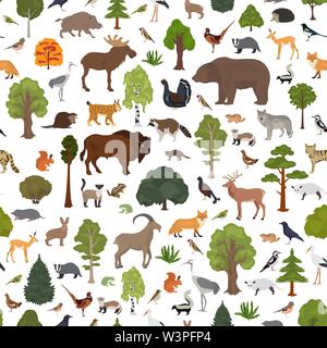 Gemäßigt breitblättrige Wald und Mischwald biome nahtlose Muster. terrestrischen Ökosystem Weltkarte. Tiere, Vögel und Pflanzen Grafik Design. Vektor i Stock Vektor