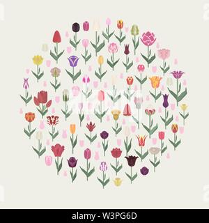 Tulip Sorten flachbild Icon Set. Garten Blumen und Zimmerpflanzen Infografik. Vector Illustration Stock Vektor